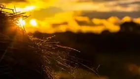 Zachód słońca nad mazurskimi polami, okolice wsi Sulimy - zdjęcie 8