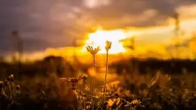 Zachód słońca nad mazurskimi polami, okolice wsi Sulimy - zdjęcie 13