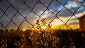 Zachód słońca nad mazurskimi polami, okolice wsi Sulimy - zdjęcie 26