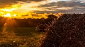 Zachód słońca nad mazurskimi polami, okolice wsi Sulimy - zdjęcie 21