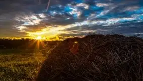 Zachód słońca nad mazurskimi polami, okolice wsi Sulimy - zdjęcie 17