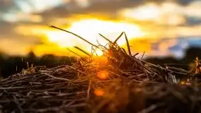 Zachód słońca nad mazurskimi polami, okolice wsi Sulimy - zdjęcie 24