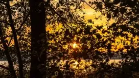 Wschód słońca, okolice i jezioro Kisajno, październik 2020 - zdjęcie 26