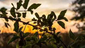 Wschód słońca, okolice i jezioro Kisajno, październik 2020 - zdjęcie 9