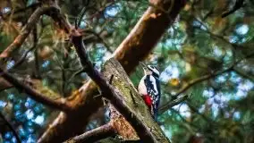 Jesień 2020 na zdjęciach Stanisława Sielewicza - zdjęcie 19