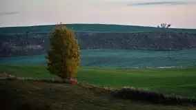 Jesień 2020 na zdjęciach Stanisława Sielewicza - zdjęcie 5