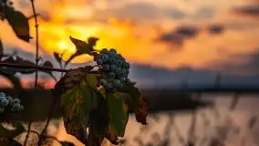 Zachód słońca nad jeziorem Kisajno - zdjęcie 6