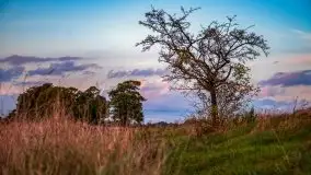 Zachód słońca nad jeziorem Kisajno - zdjęcie 19