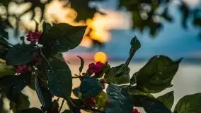 Zachód słońca nad jeziorem Kisajno - zdjęcie 28