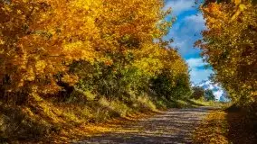 Mazurska jesień w okolicy Pieczarek i Przerwanek - zdjęcie 17