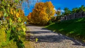 Mazurska jesień w okolicy Pieczarek i Przerwanek - zdjęcie 25