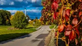 Mazurska jesień w okolicy Pieczarek i Przerwanek - zdjęcie 27