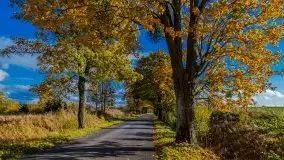 Mazurska jesień w okolicy Pieczarek i Przerwanek - zdjęcie 37