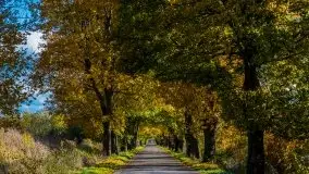 Mazurska jesień w okolicy Pieczarek i Przerwanek - zdjęcie 38