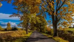 Mazurska jesień w okolicy Pieczarek i Przerwanek - zdjęcie 21