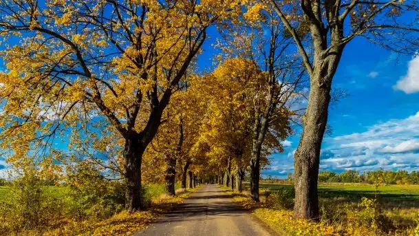 Mazurska jesień w okolicy Pieczarek i Przerwanek