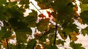 Zachód słońca, jezioro Dargin, przystań Melnik - zdjęcie 14