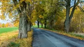 Mazury całe w barwach jesieni - zdjęcie 25