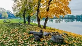 Mazury całe w barwach jesieni - zdjęcie 51