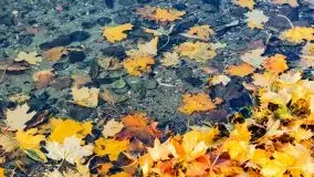 Mazury całe w barwach jesieni - zdjęcie 15