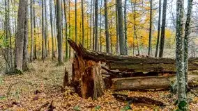 Mazury całe w barwach jesieni - zdjęcie 49