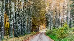 Mazury całe w barwach jesieni - zdjęcie 10