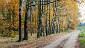 Mazury całe w barwach jesieni - zdjęcie 2