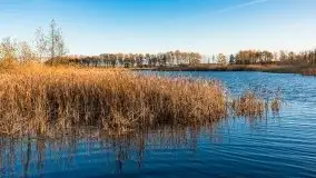 Jesiennie klimaty, Fuleda, Dziewiszewo, jezioro Dobskie - zdjęcie 7