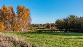 Jesiennie klimaty, Fuleda, Dziewiszewo, jezioro Dobskie - zdjęcie 6