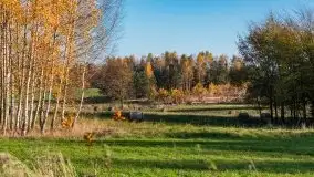 Jesiennie klimaty, Fuleda, Dziewiszewo, jezioro Dobskie - zdjęcie 20