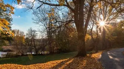 Jesiennie klimaty, Fuleda, Dziewiszewo, jezioro Dobskie