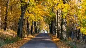 Jesiennie klimaty, Fuleda, Dziewiszewo, jezioro Dobskie - zdjęcie 22