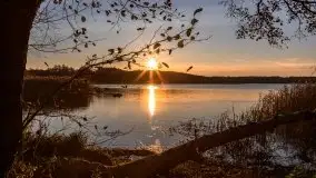 Zachód Słońca nad jeziorem Dobskim, listopad 2020 - zdjęcie 28