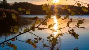 Zachód Słońca nad jeziorem Dobskim, listopad 2020 - zdjęcie 15