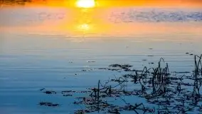 Zachód Słońca nad jeziorem Dobskim, listopad 2020 - zdjęcie 41