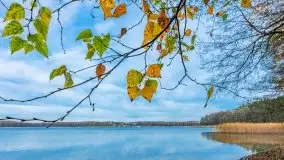 Późno jesienne klimaty gdy wieje i chłód doskwiera przy jeziorze Dargin - zdjęcie 2