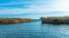 Późno jesienne klimaty gdy wieje i chłód doskwiera przy jeziorze Dargin - zdjęcie 8