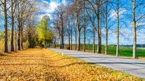 Piękna mazurska złota jesień, listopad 2019 - zdjęcie 52