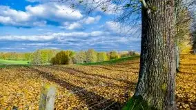 Piękna mazurska złota jesień, listopad 2019 - zdjęcie 29