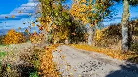 Piękna mazurska złota jesień, listopad 2019 - zdjęcie 48