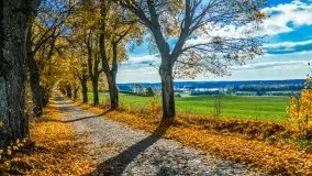 Piękna mazurska złota jesień, listopad 2019 - zdjęcie 36