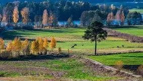 Piękna mazurska złota jesień, listopad 2019 - zdjęcie 24