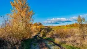 Piękna mazurska złota jesień, listopad 2019 - zdjęcie 25