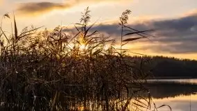 Jesień w okolicach jeziora Okrągłe, listopad 2020 - zdjęcie 13