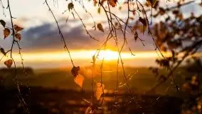 Jesień w okolicach jeziora Okrągłe, listopad 2020 - zdjęcie 10