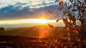 Jesień w okolicach jeziora Okrągłe, listopad 2020 - zdjęcie 30