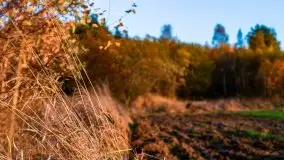 Jesień w okolicach jeziora Okrągłe, listopad 2020 - zdjęcie 24