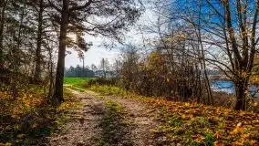 Jesienne Mazury, okolice jezior Niegocin i wojnowo - zdjęcie 12