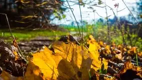 Jesienne Mazury, okolice jezior Niegocin i wojnowo - zdjęcie 7