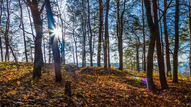 Jesienne Mazury, okolice jezior Niegocin i wojnowo - zdjęcie 4